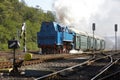steam train, steam locomotive called Parrot & x28;477.043& x29;, Luzna u R
