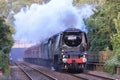 Steam Train Royalty Free Stock Photo