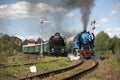 steam trains from Krupa station, steam locomotive called Parrot Royalty Free Stock Photo