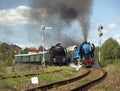 steam trains from Krupa station, steam locomotive called Parrot