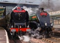 Steam Trains on Parade