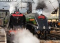 Steam Trains on Parade
