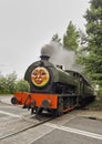 Steam trains Royalty Free Stock Photo