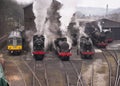 Steam trains in a row Royalty Free Stock Photo