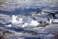 Steam vents on the summit of Mount Erebus, Antarctica Royalty Free Stock Photo