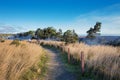 Steam vents at Volcanoes National Park Royalty Free Stock Photo