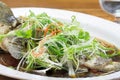 Steam whole garoupa with soy sauce Royalty Free Stock Photo