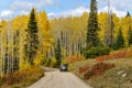 Autumn Mountain Road and Aspen Grove Royalty Free Stock Photo