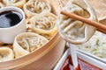 Steamed asian dumplings