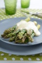 Steamed asparagus Royalty Free Stock Photo