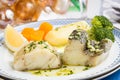 Steamed Atlantic Cod fish with olive oil and garlic Royalty Free Stock Photo