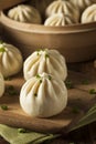 Steamed BBQ Pork Asian Buns Royalty Free Stock Photo