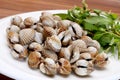 Steamed blood cockles with laksa leaves on white platter