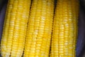 Steamed or boiled sweet corn cooked in hot pot , ripe corn cobs sweetcorn for food Royalty Free Stock Photo