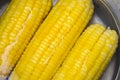 Steamed or boiled sweet corn cooked in hot pot , ripe corn cobs sweetcorn for food Royalty Free Stock Photo