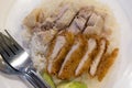 Steamed chicken mixed with fried chicken rice on white plate Royalty Free Stock Photo