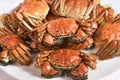 Steamed Chinese hairy crabs