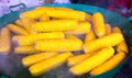 Steamed corn cobs cooking, smorgasbord Royalty Free Stock Photo