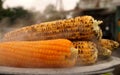 Steamed Corn:Evening snacks