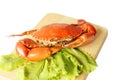 Steamed Crab Royalty Free Stock Photo