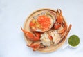 Steamed crab in a dish. Boiled crab fresh served with spicy sauce on white background.