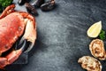 Steamed crab and fresh oysters on dark background. Sea food dinner concept Royalty Free Stock Photo