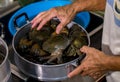 Steamed crab in pot. live crabs in a pot. steaming shanghai hairy crabs, chinese cuisine.