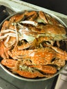 Steamed crab in steaming pot.