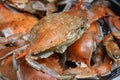 Steamed crabs in pot