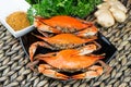 Steamed crabs with spices. Crab and Beer Festival. Maryland blue crabs.