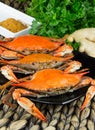 Steamed crabs with spices. Crab and Beer Festival. Maryland blue crabs. Royalty Free Stock Photo