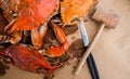 Steamed crabs with spices. Maryland blue crabs. Royalty Free Stock Photo