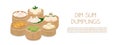 Steamed dumplings banner template. Momo and dim sum in bamboo steamer baskets isolated on white Royalty Free Stock Photo