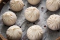 Steamed Dumplings Royalty Free Stock Photo