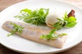 Steamed fish fillet with egg and salad Royalty Free Stock Photo