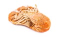 Steamed flathead lobster isolated on white background