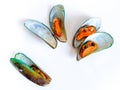 Steamed fresh mussels Perna viridis on white Royalty Free Stock Photo