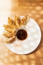 Steamed and fried pork gyoza