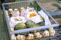 Steamed hangi food: meat and vegetables cooked in a traditional Royalty Free Stock Photo