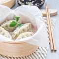 Steamed Korean dumplings Mandu with chicken meat and vegetables Royalty Free Stock Photo