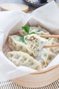 Steamed Korean dumplings Mandu with chicken meat and vegetables Royalty Free Stock Photo