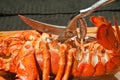 Steamed lobster being opened with cutting shears Royalty Free Stock Photo