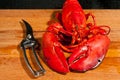 Steamed lobster with cutting sheers