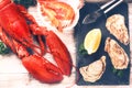 Steamed lobster, oysters and shrimps as fine selection of crustacean Royalty Free Stock Photo