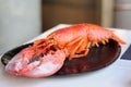 Steamed Lobster on a Platter Royalty Free Stock Photo