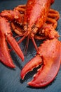 Steamed lobster seafood Royalty Free Stock Photo