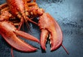 Steamed lobster seafood Royalty Free Stock Photo