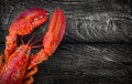 Steamed lobster seafood Royalty Free Stock Photo