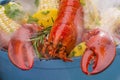 Steamed Lobster and Vegetables cooking over a barbecue grill Royalty Free Stock Photo