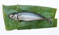 Steamed Mackerel